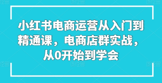 小红书电商运营从入门到精通课，电商店群实战，从0开始到学会 - 网赚资源网-网赚资源网