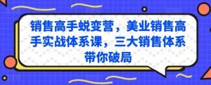 销售高手蜕变营,美业销售高手实战体系课,三大销售体系带你破局-网赚资源网