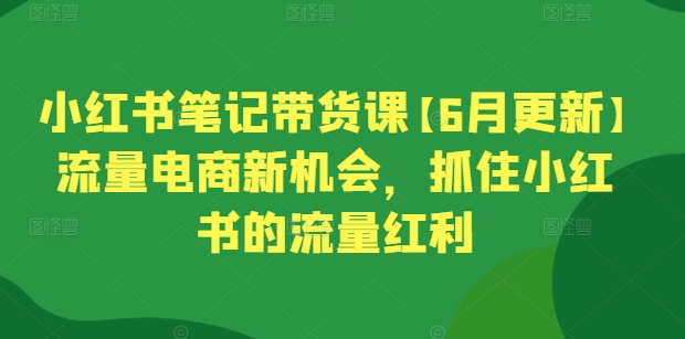 小红书笔记带货课【6月更新】流量电商新机会，抓住小红书的流量红利 - 网赚资源网-网赚资源网