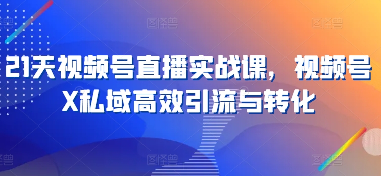 21天视频号直播实战课，视频号X私域高效引流与转化 - 网赚资源网-网赚资源网