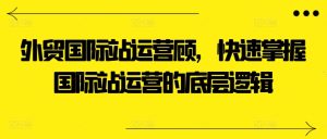 外贸国际站运营顾问，快速掌握国际站运营的底层逻辑-网赚资源网