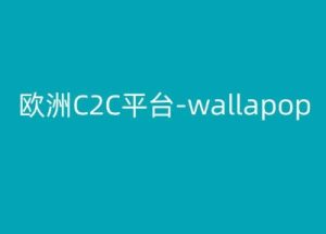 欧洲C2C平台-wallapop-kim跨境电商教程-网赚资源网