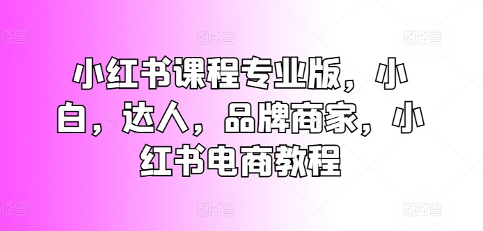 小红书课程专业版，小白，达人，品牌商家，小红书电商教程 - 网赚资源网-网赚资源网