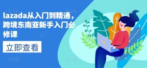 lazada从入门到精通,跨境东南亚新手入门必修课-网赚资源网