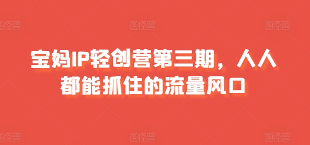 宝妈IP轻创营第三期，人人都能抓住的流量风口 - 网赚资源网-网赚资源网
