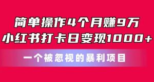 简单操作4个月赚9w,小红书打卡日变现1k,一个被忽视的暴力项目【揭秘】-网赚资源网