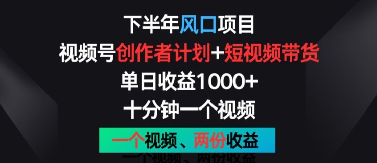 下半年风口项目，视频号创作者计划+视频带货，一个视频两份收益，十分钟一个视频【揭秘】 - 网赚资源网-网赚资源网