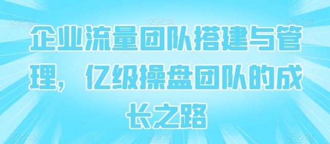 企业流量团队搭建与管理，亿级操盘团队的成长之路 - 网赚资源网-网赚资源网