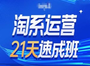 淘系运营24天速成班第28期最新万相台无界带免费流量-网赚资源网