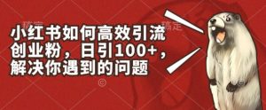 小红书如何高效引流创业粉,日引100+,解决你遇到的问题【揭秘】-网赚资源网