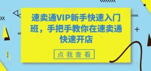 速卖通VIP新手快速入门班,手把手教你在速卖通快速开店-网赚资源网