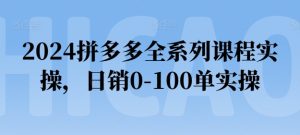 2024拼多多全系列课程实操，日销0-100单实操【必看】-网赚资源网
