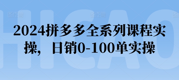 2024拼多多全系列课程实操，日销0-100单实操【必看】 - 网赚资源网-网赚资源网