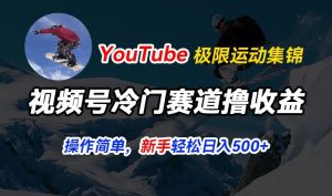 视频号冷门赛道撸收益,YouTube搬运极限运动集锦,暴力起号,操作简单流量高,轻松日入5张【揭秘】-网赚资源网