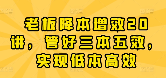 老板降本增效20讲，管好三本五效，实现低本高效 - 网赚资源网-网赚资源网