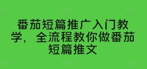 番茄短篇推广入门教学,全流程教你做番茄短篇推文-网赚资源网