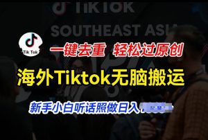 海外Tiktok短视频无脑搬运，一键去重轻松过原创，新手小白听话照做日入几张【揭秘】-网赚资源网