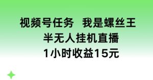 视频号任务，我是螺丝王， 半无人挂机1小时收益15元【揭秘】 - 网赚资源网-网赚资源网