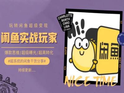 手把手教你0到1系统玩转闲鱼变现，爆款思维/超级曝光/超高转化 - 网赚资源网-网赚资源网