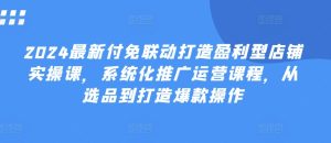 2024最新付免联动打造盈利型店铺实操课,系统化推广运营课程,从选品到打造爆款操作-网赚资源网