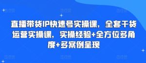 直播带货IP快速号实操课,全套干货运营实操课,实操经验+全方位多角度+多案例呈现-网赚资源网