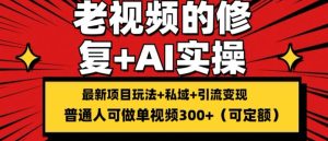 修复老视频的玩法，搬砖+引流的变现(可持久)，单条收益300+【揭秘】 - 网赚资源网-网赚资源网