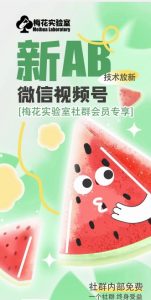 梅花实验室2024年AB技术视频号AB合成破解版-网赚资源网