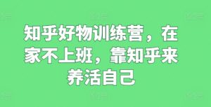 知乎好物训练营,在家不上班,靠知乎来养活自己-网赚资源网