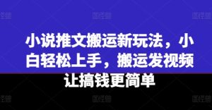 小说推文搬运新玩法，小白轻松上手，搬运发视频让搞钱更简单-网赚资源网