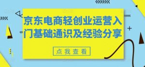 京东电商轻创业运营入门基础通识及经验分享-网赚资源网