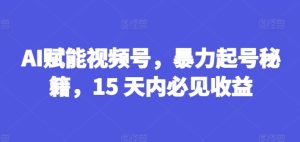 AI赋能视频号,暴力起号秘籍,15 天内必见收益【揭秘】-网赚资源网