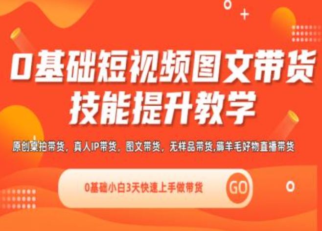0基础短视频图文带货实操技能提升教学(直播课+视频课),0基础小白3天快速上手做带货 - 网赚资源网-网赚资源网