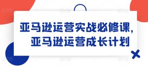 亚马逊运营实战必修课,亚马逊运营成长计划-网赚资源网