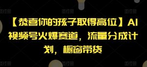【恭喜你的孩子取得高位】AI视频号火爆赛道，流量分成计划，橱窗带货【揭秘】-网赚资源网