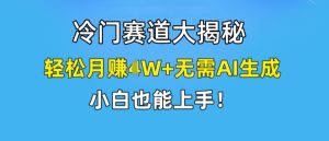 冷门赛道大揭秘,轻松月赚1W+无需AI生成,小白也能上手【揭秘】-网赚资源网