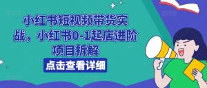小红书短视频带货实战,小红书0-1起店进阶项目拆解-网赚资源网