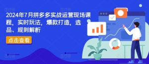 2024年7月拼多多实战运营现场课程，实时玩法，爆款打造，选品、规则解析-网赚资源网