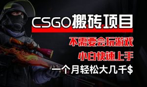 CSGO 装备搬砖项目，操作简单，不需要会玩游戏，小白也能快速上手，一个月轻松大几千【揭秘】-网赚资源网