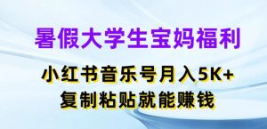 暑假大学生宝妈福利,小红书音乐号月入5000+,复制粘贴就能赚钱【揭秘】-网赚资源网