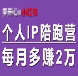 小红书个人IP陪跑营，60天拥有自动转化成交的双渠道个人IP，每月多赚2w-网赚资源网