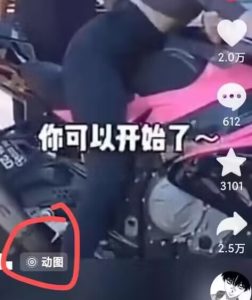 2024年7月苹果手机动图搬运技术-网赚资源网