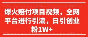爆火赔付项目视频，全网平台进行引流，日引创业粉1W+【揭秘】-网赚资源网