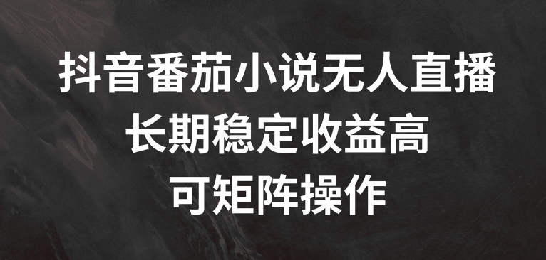 抖音番茄小说无人直播，长期稳定收益高，可矩阵操作【揭秘】 - 网赚资源网-网赚资源网