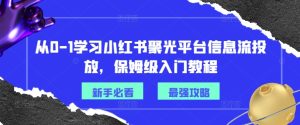 从0-1学习小红书聚光平台信息流投放,保姆级入门教程-网赚资源网
