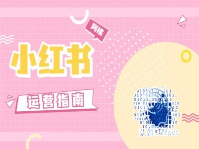 小红书运营指南，没有套路，全是经验 - 网赚资源网-网赚资源网