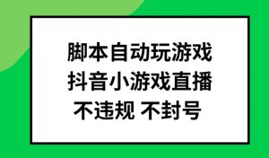 脚本自动玩游戏，抖音小游戏直播，不违规不封号可批量做【揭秘】-网赚资源网