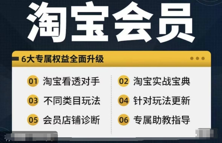淘宝会员【淘宝所有课程，全面分析对手】，初级到高手全系实战宝典-网赚资源网