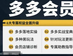 拼多多会员，拼多多实战宝典+实战落地实操，从新手到高阶内容全面覆盖 - 网赚资源网-网赚资源网
