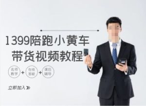1399陪跑tiktok小黄车带货视频教程，tiktok跨境电商教程-网赚资源网