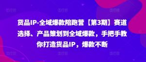 货品IP全域爆款陪跑营【第3期】赛道选择、产品策划到全域爆款,手把手教你打造货品IP,爆款不断-网赚资源网